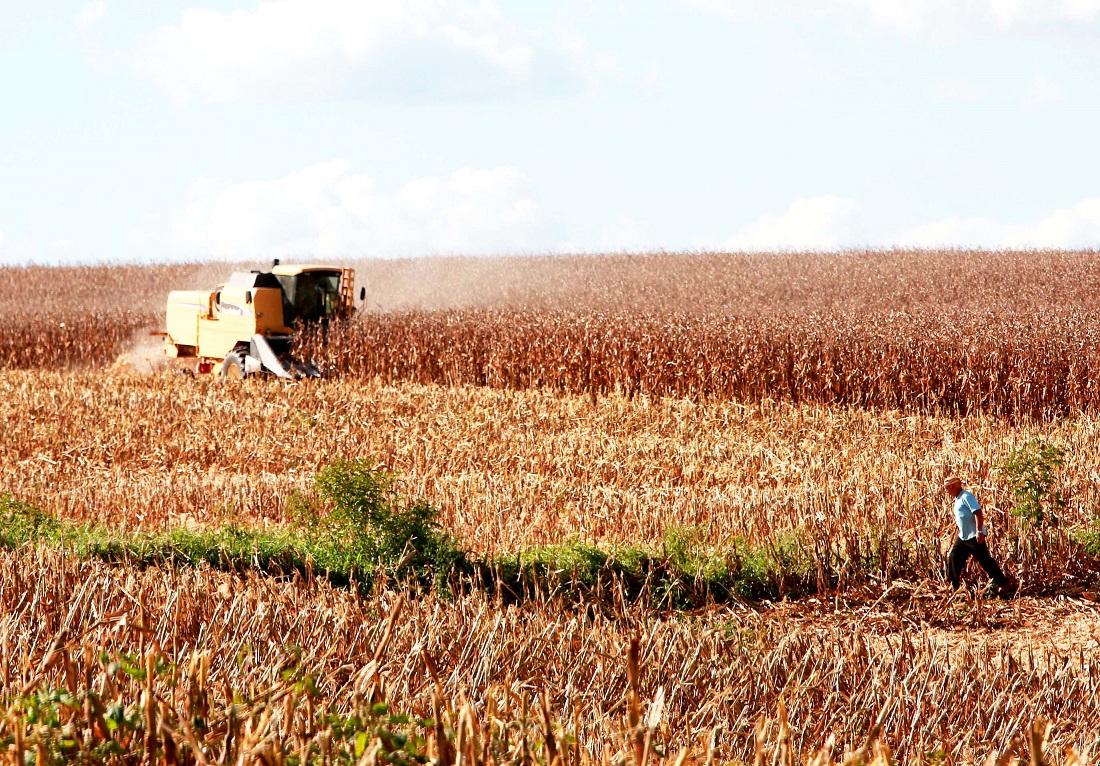 Economia de Santa Catarina é a que mais cresce entre os estados do Sul e Sudeste