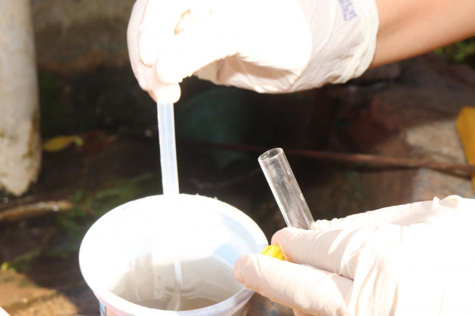 Blumenau entra no plano de expansão para a utilização de nova estratégia no combate à dengue