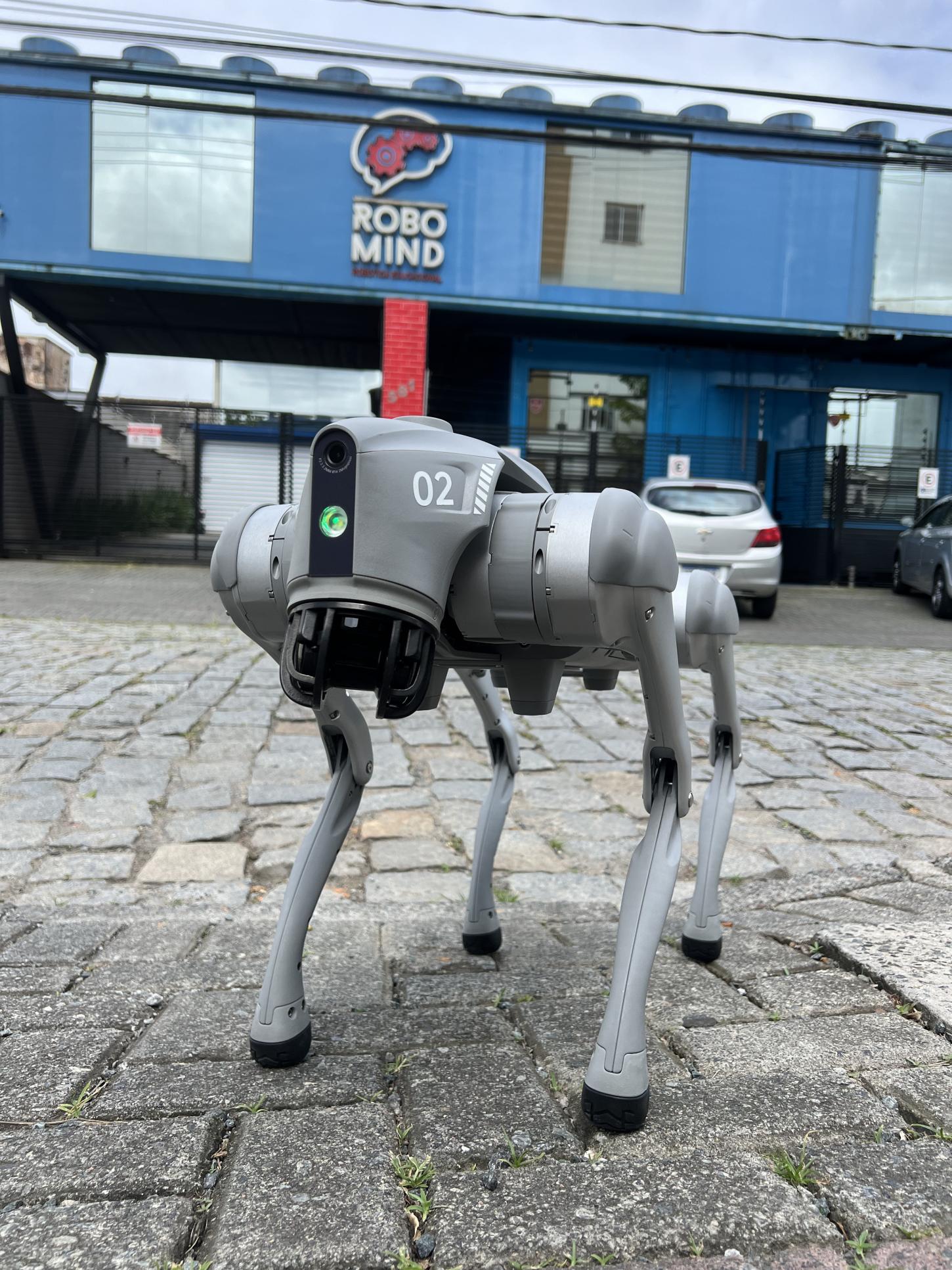 Empresa de educação tecnológica de Blumenau contrata novo robô 