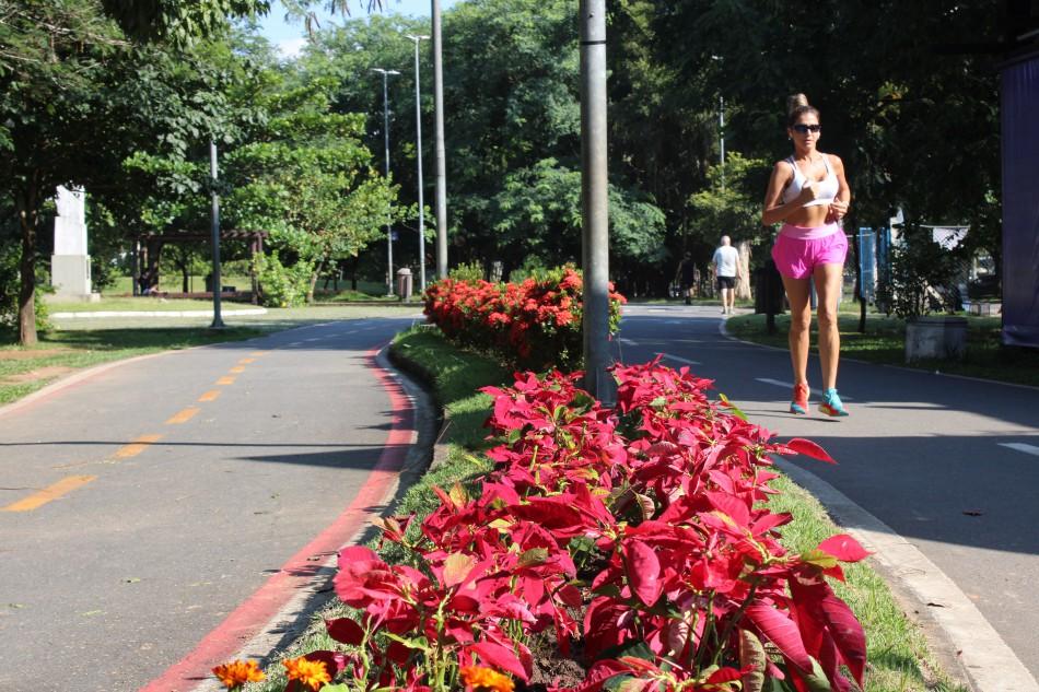 Flores utilizadas na decoração do Natal em Blumenau são reaproveitadas em parques da cidade
