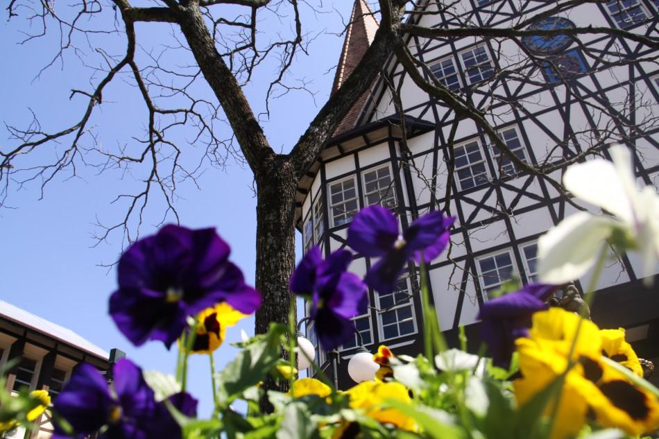 Agenda Cultural: Saiba como aproveitar Blumenau durante os próximos dias