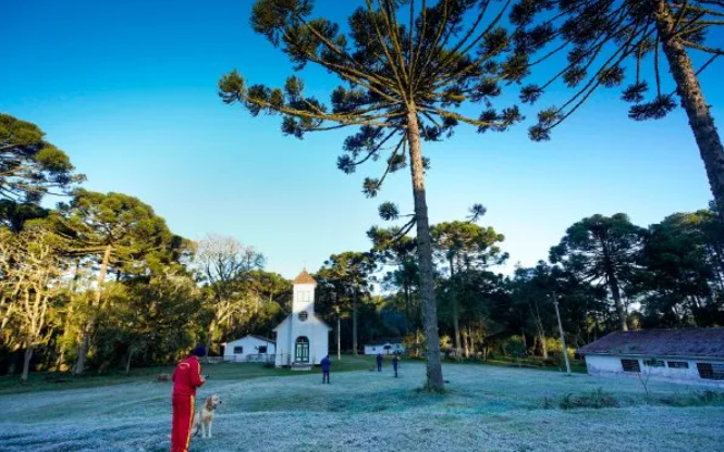 Frio Intenso Atinge SC com Alerta de Neve e Geada a Partir de Quinta.