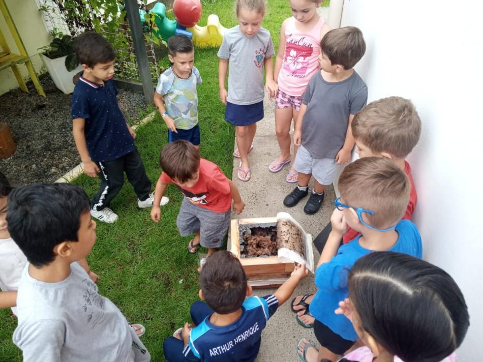 Dois projetos da Prefeitura de Blumenau vencem o Prêmio Viva Blumenau