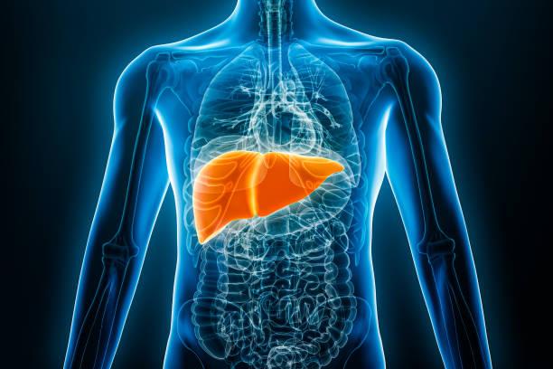 Julho Amarelo” acende alerta sobre hepatites virais no Brasil
