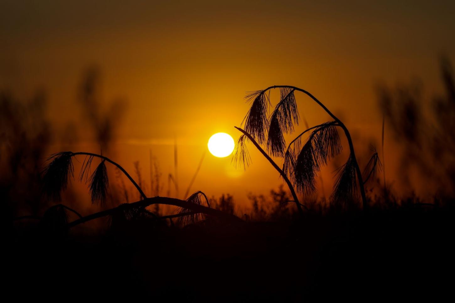 Semana será marcada por calor intenso e temporais em Santa Catarina