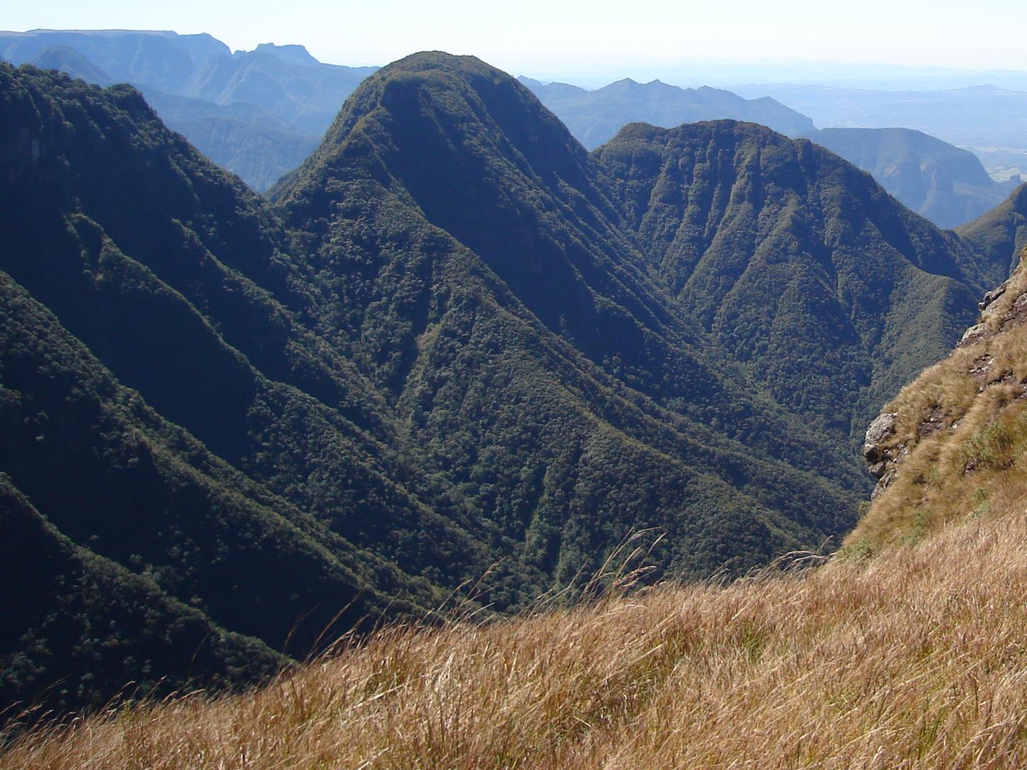 A caça em Santa Catarina (Com Antônio Boeing)