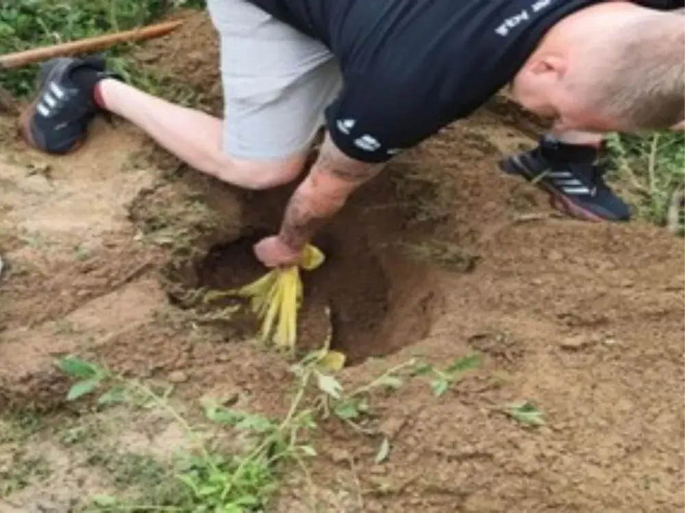 Justiça determina prisão preventiva dos suspeitos de matar cachorros em Rio dos Cedros e Timbó 