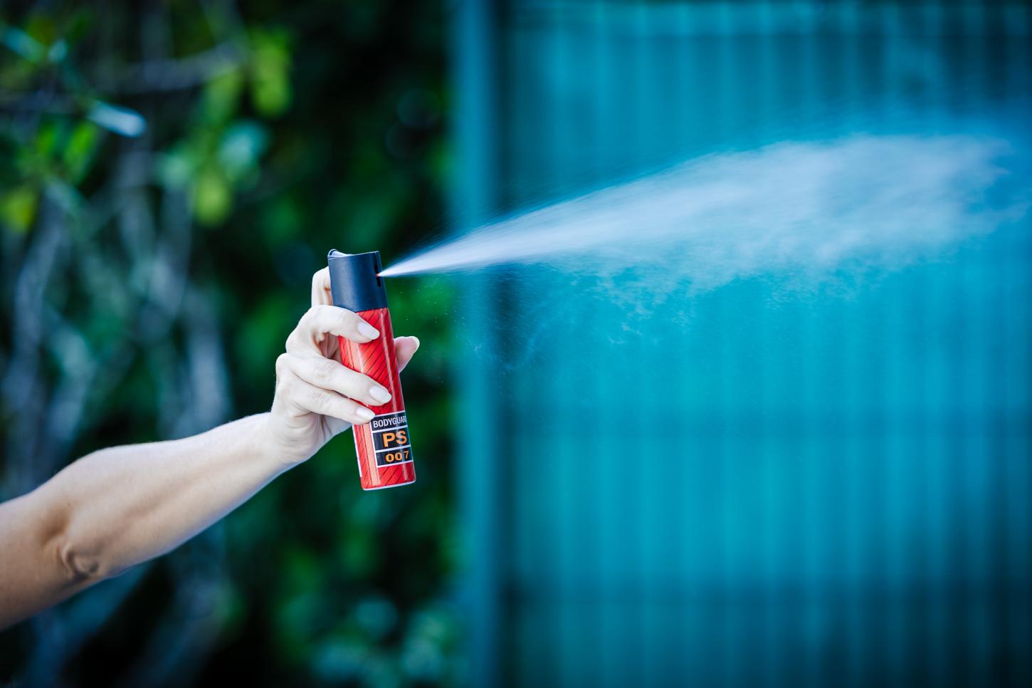 Alesc aprova entrega de spray de pimenta para mulheres vítimas de violência