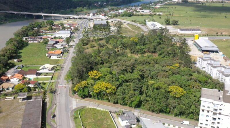 Pesquisa define Arborização Urbana 2026