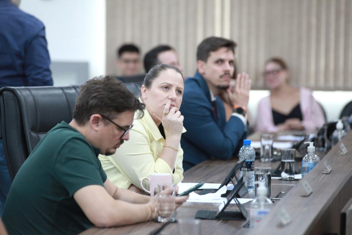 Câmara de Blumenau aprova programa de conscientização sobre fogos de baixo ruído