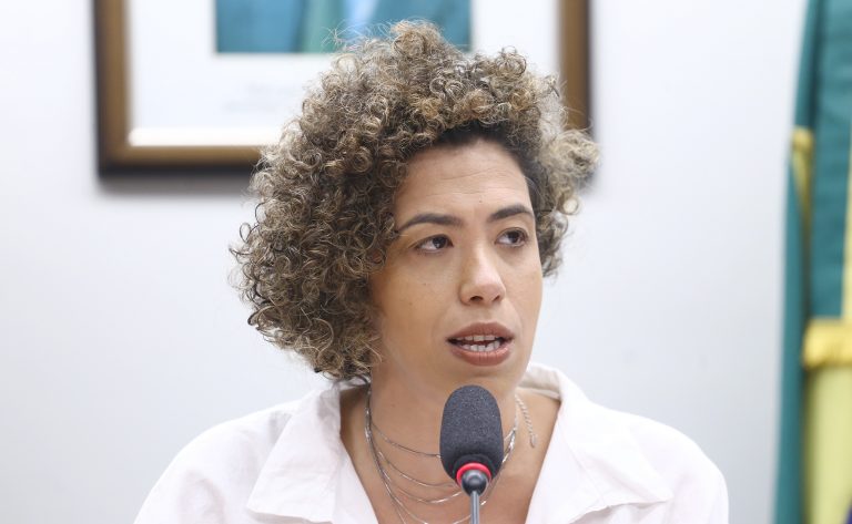 Comissão da Câmara sedia debate sobre a Nova Economia