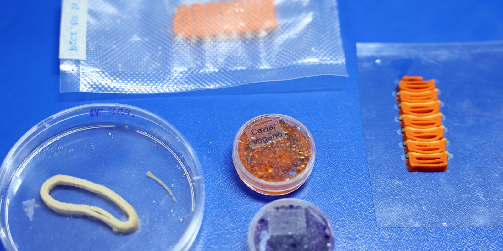 Embrapa avança na produção de alimentos à base vegetal com tecnologia de impressão 3D