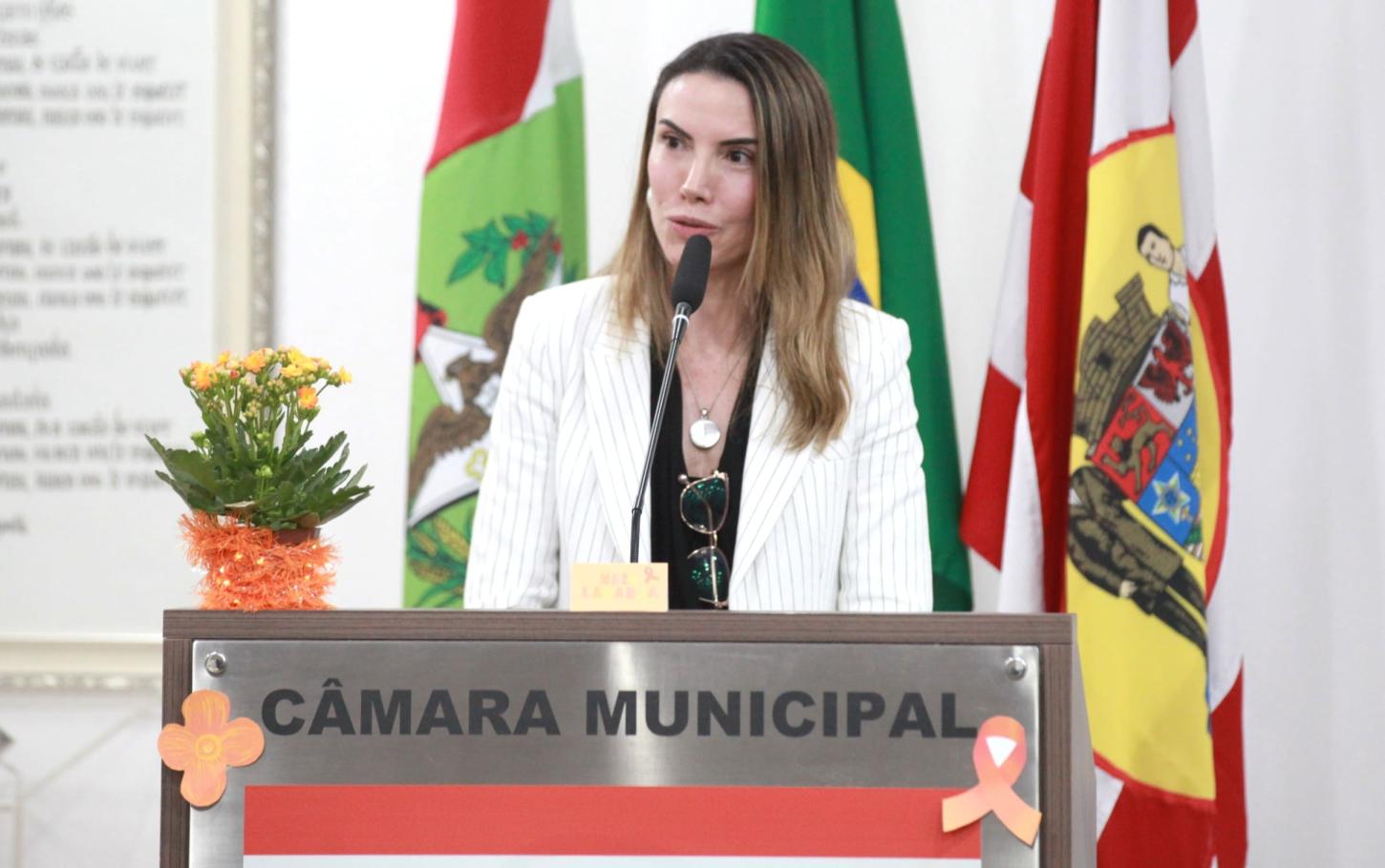 Evento na Câmara de Blumenau fortalece integração da rede de combate à violência infantil