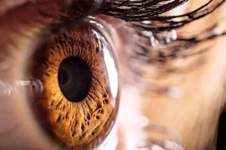 Saúde ocular contemporânea entra em pauta no XIX Congresso Sul-Brasileiro de Oftalmologia, em SC