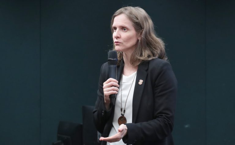 Delegadas alertam na Câmara sobre o aumento da violência sexual contra crianças e adolescentes no ambiente digital