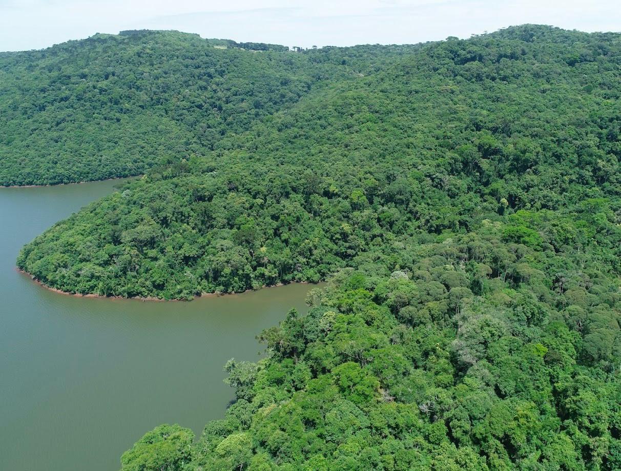 No Junho Verde, Governo do Estado destaca projetos e ações que impulsionam o desenvolvimento sustentável de Santa Catarina