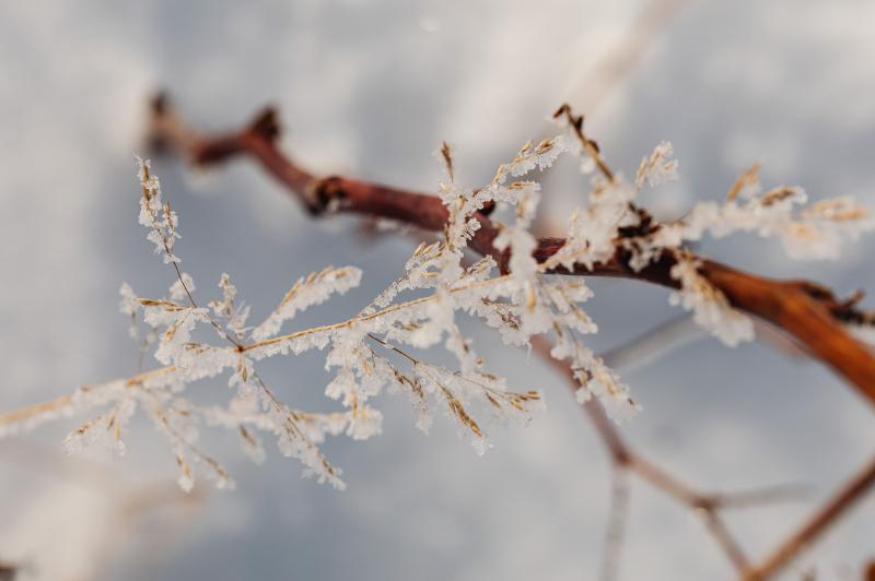 PRIMEIRA SEMANA DO INVERNO SERÁ MARCADA POR FRIO INTENSO EM ITAJAÍ
