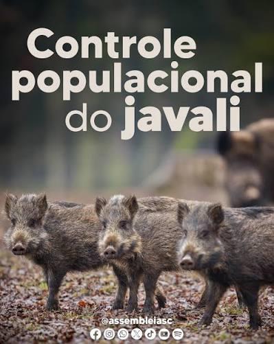 Alesc aprova pagamento para controle populacional do javali