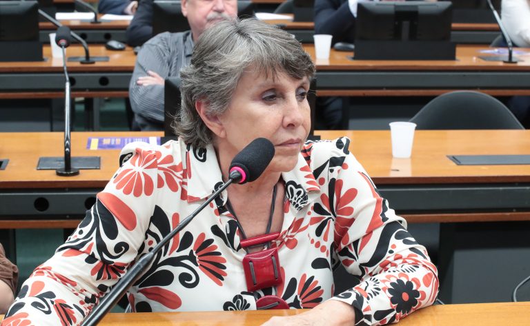 Comissão debate a relevância de dados oficiais para a população LGBTQIA+