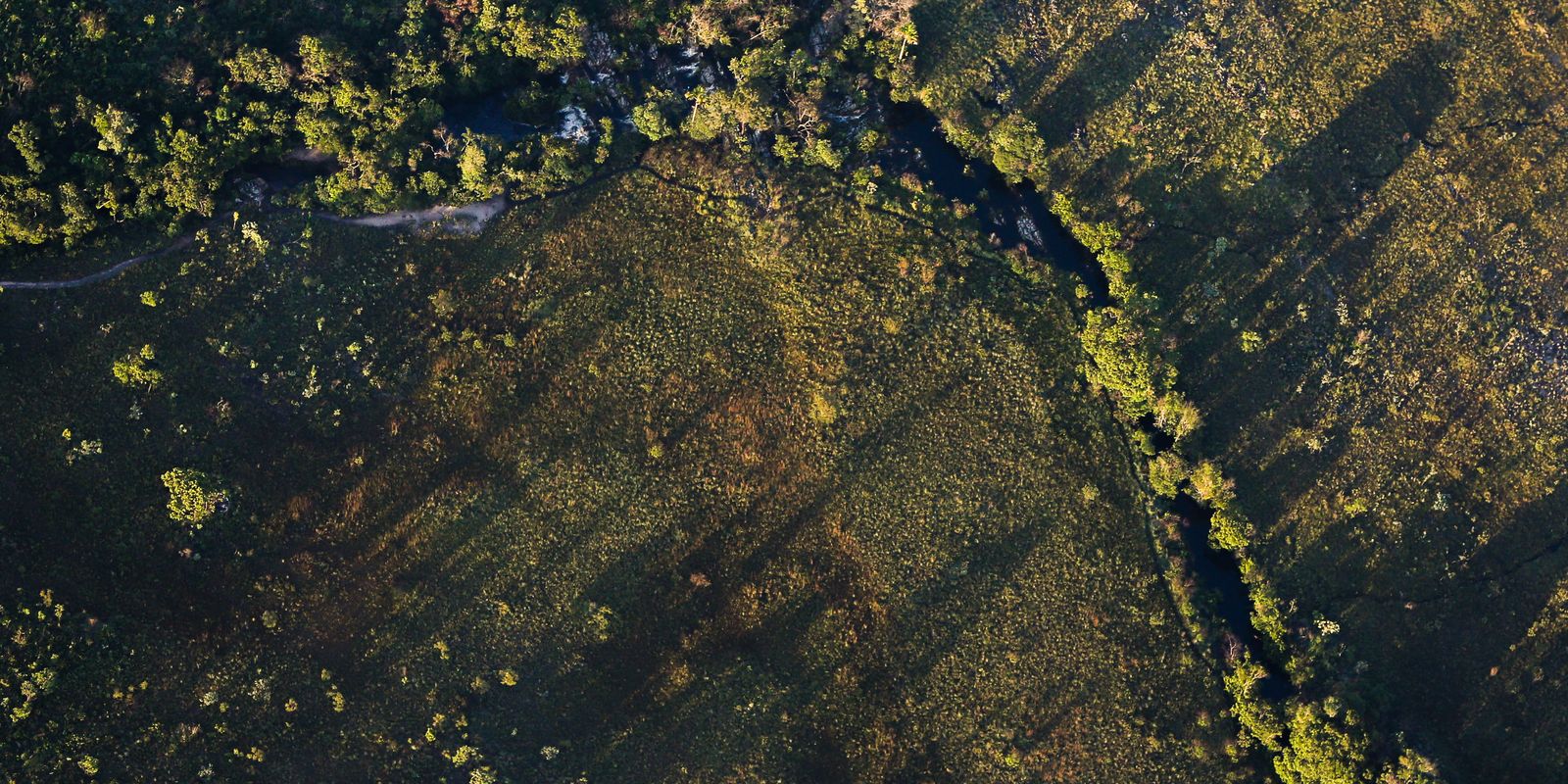 Produtores rurais com projetos sustentáveis terão acesso a juros reduzidos nos Fundos Constitucionais