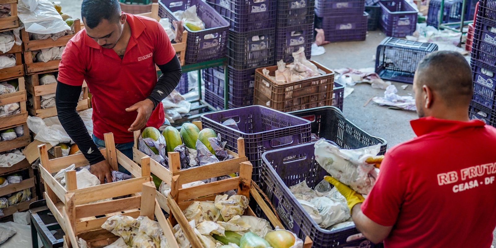Governo anuncia R$ 97,3 bilhões em crédito para agricultura familiar