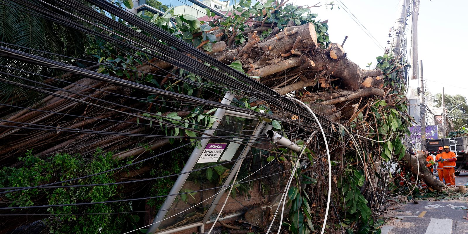 Falta de energia no Rio afeta 279 mil clientes após forte vendaval