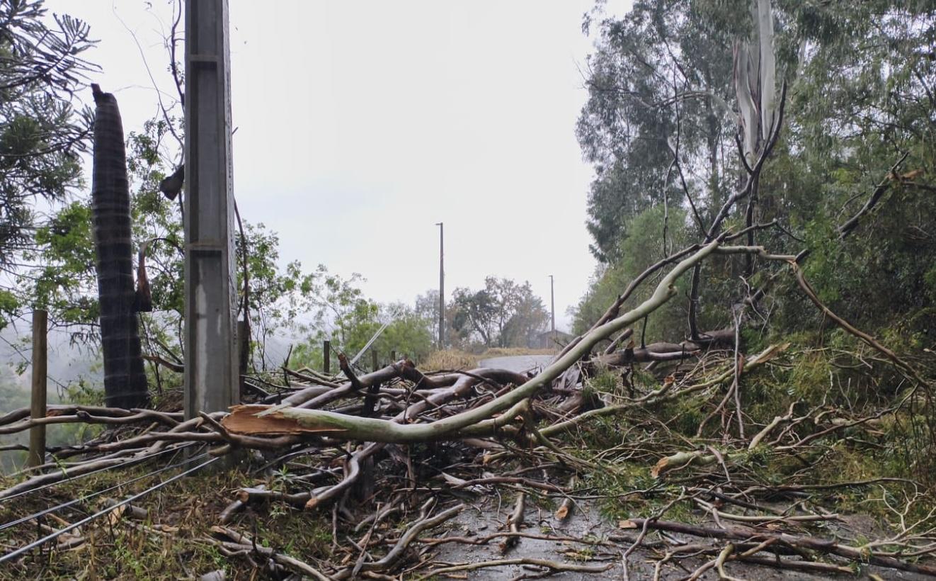 Municípios catarinenses decretam situação de emergência após temporais com granizo