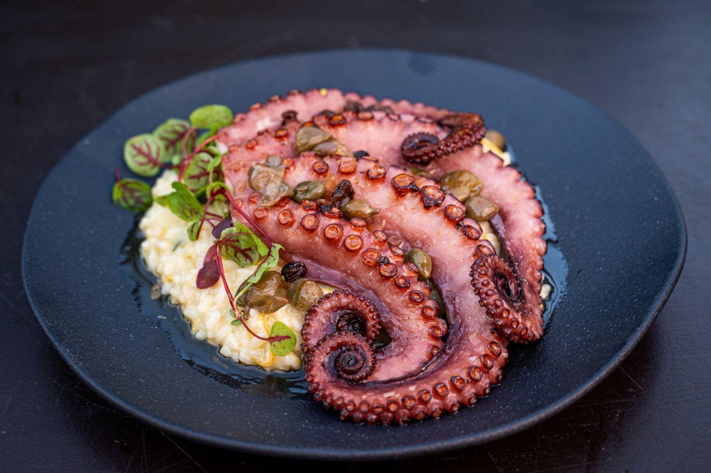 Dia dos Pais: Bistrô da Pousada Estaleiro Guest House reúne gastronomia autoral, natureza e menu especial em Balneário Camboriú