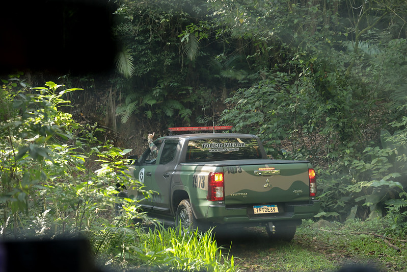 Santa Catarina autua mais de 380 hectares por desmatamento ilegal