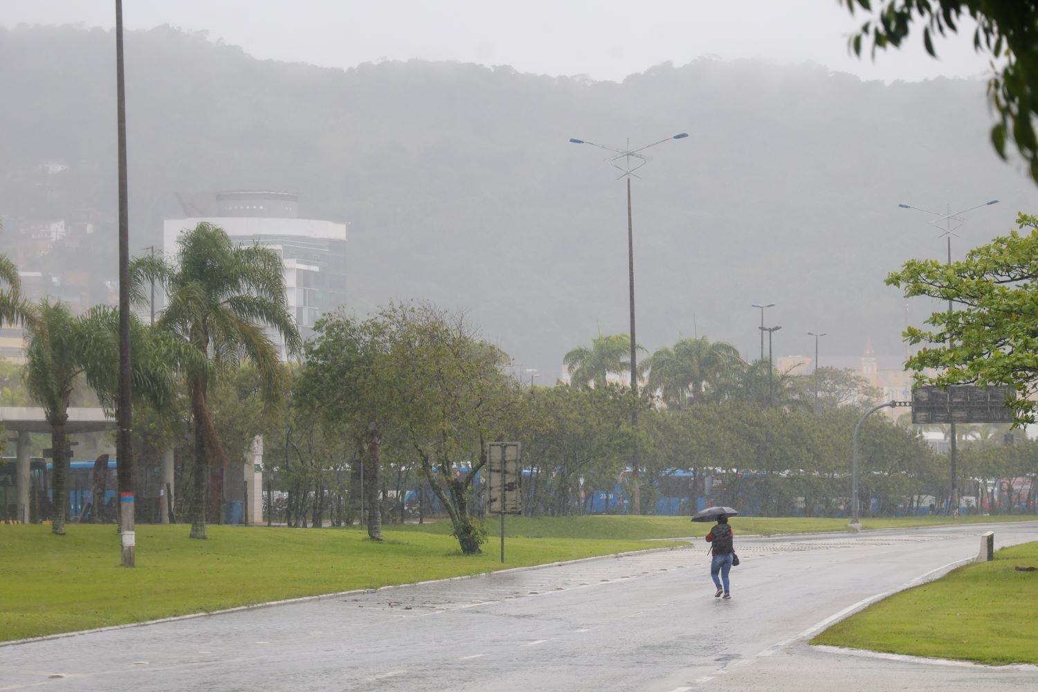 El Niño: chance de fenômeno muito forte chega a 95%