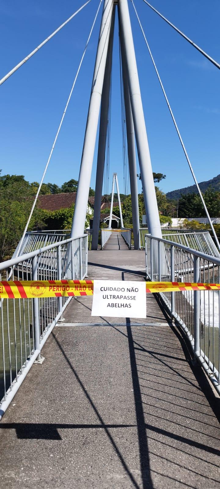 ENXAME DE ABELHAS NA PONTE DO COMPLEXO JARDIM DO IMIGRANTE