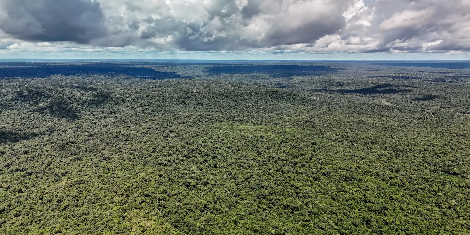 Fazenda autoriza crédito de US$ 1 bilhão do BID para o Eco Invest Brasil