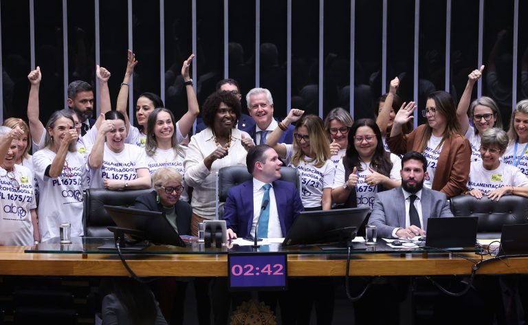 Nova lei regulamenta a psicopedagogia no Brasil com veto a exigências
