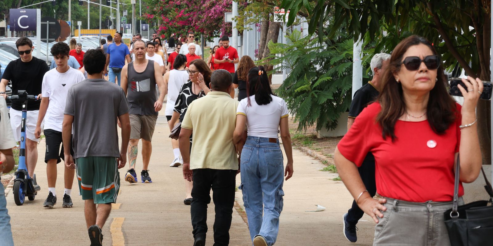 Violência política de gênero atinge a maioria das candidatas nas eleições