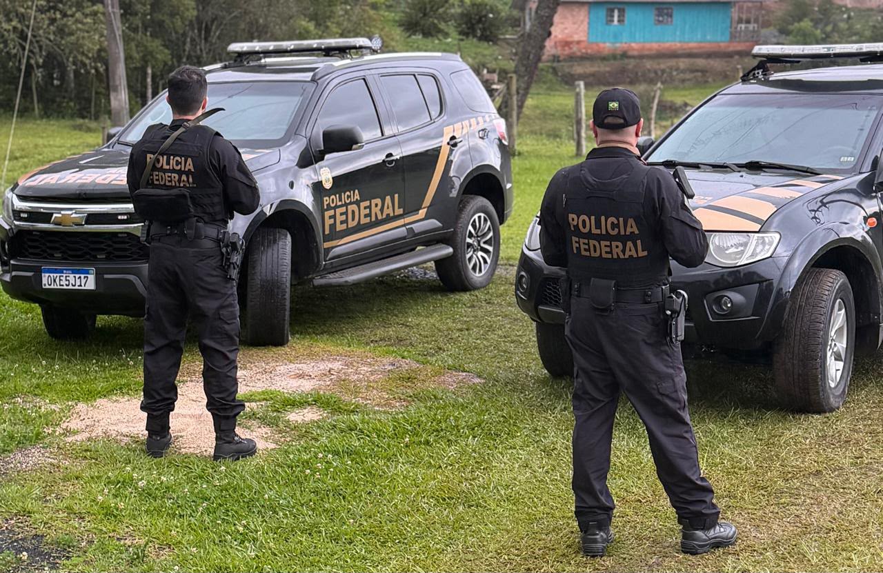 PF investiga esquema de madeira ilegal em SC e afasta policial rodoviário