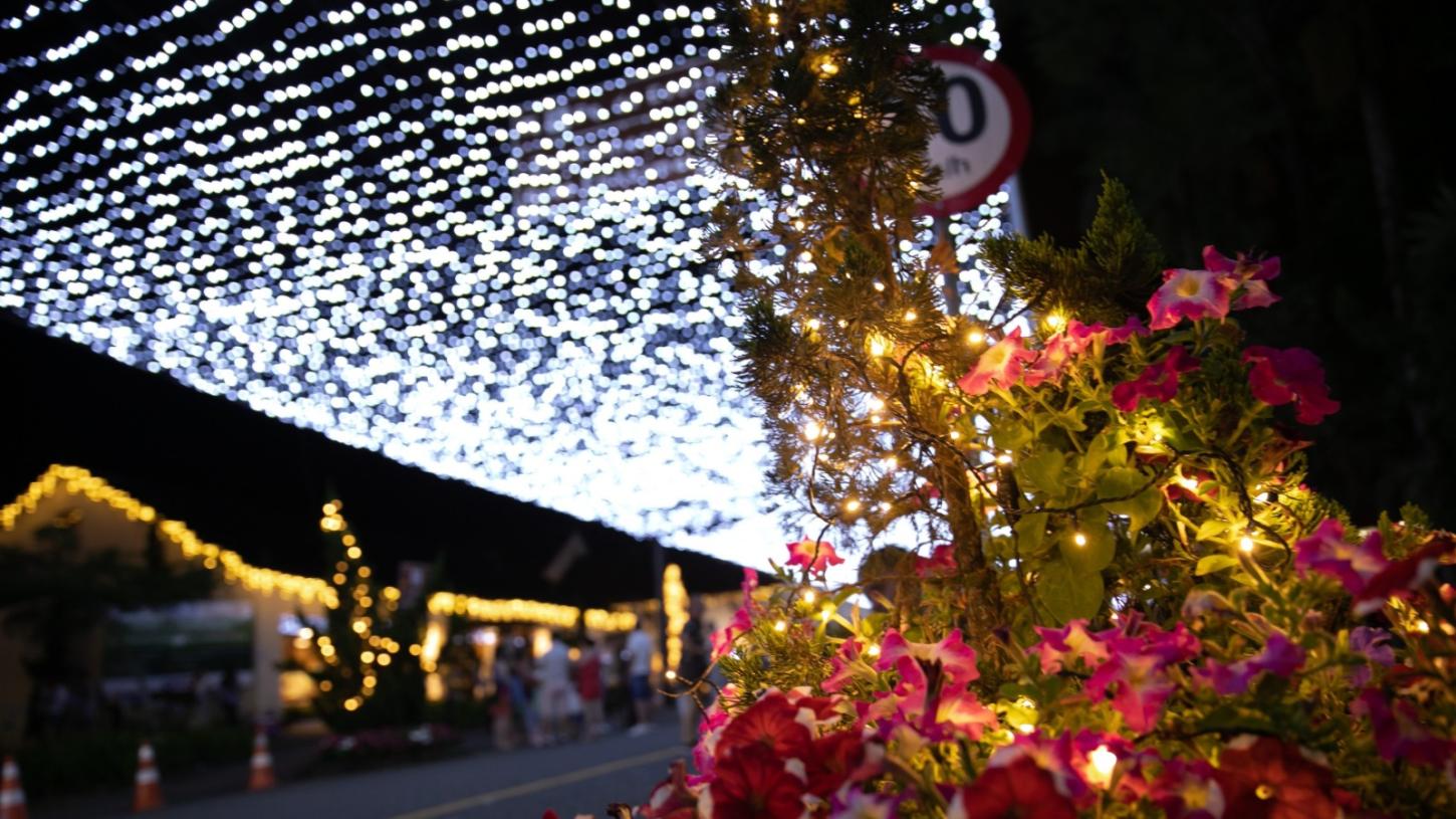 Rua Coberta de Luzes retorna a Pomerode e permanecerá iluminada durante todo o ano