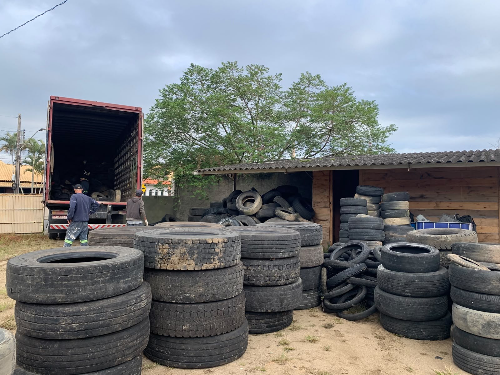 Santa Catarina mobiliza 138 cidades para recolher pneus e prevenir dengue