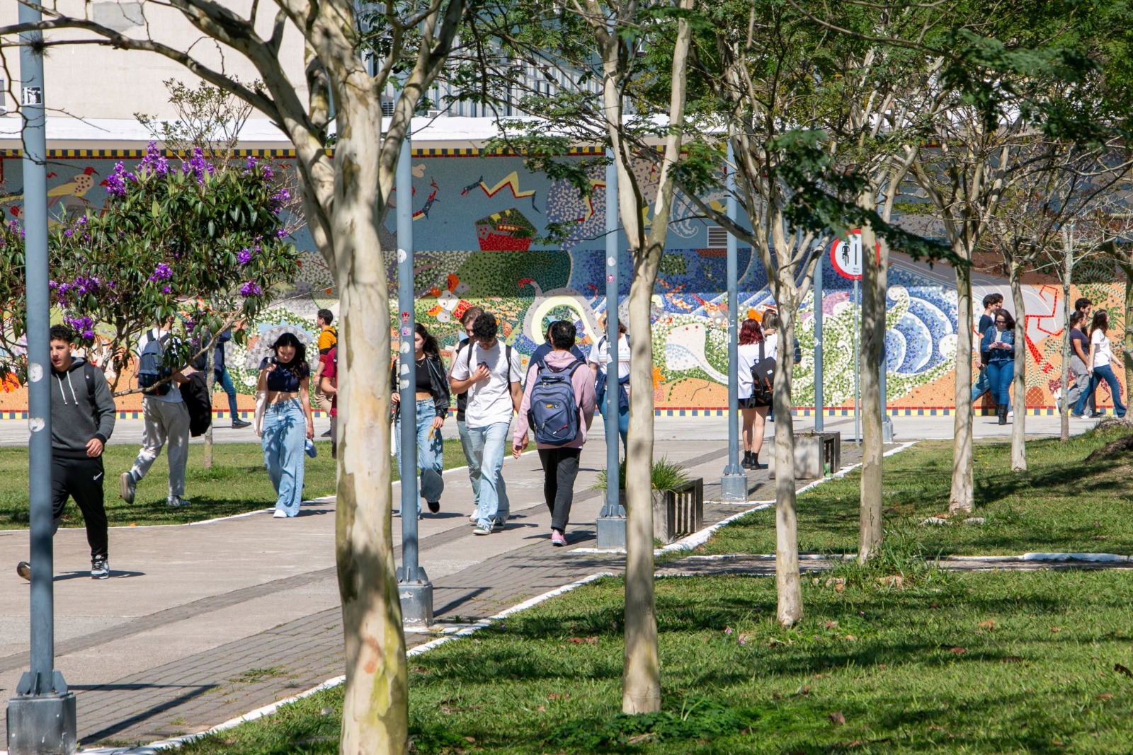 UFSC sobe no ranking mundial e entra no top 10 do Brasil