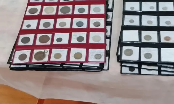 5ª COLEPO é Sucesso em Pomerode e Consolida Rota Catarinense do Colecionismo!