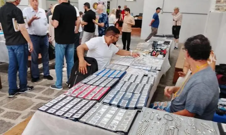 5ª COLEPO é Sucesso em Pomerode e Consolida Rota Catarinense do Colecionismo!