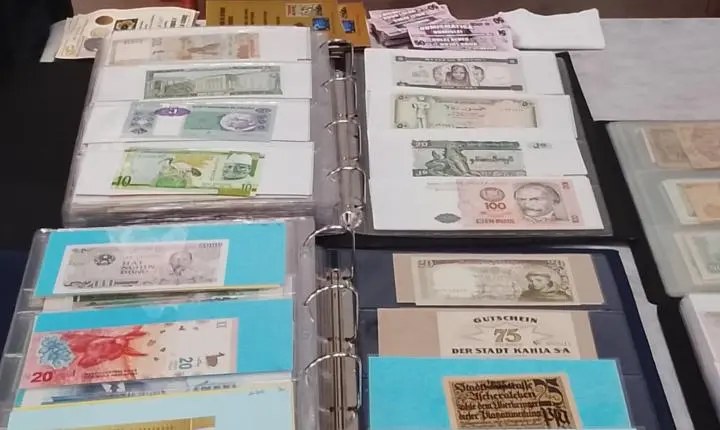 5ª COLEPO é Sucesso em Pomerode e Consolida Rota Catarinense do Colecionismo!