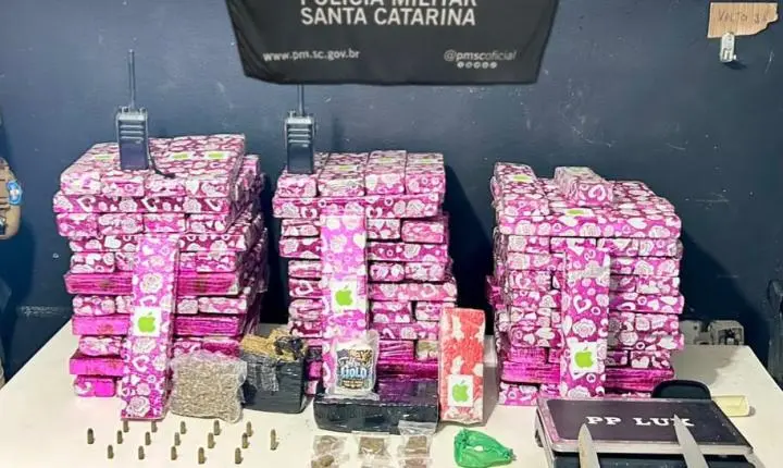 Ação policial apreende mais de 115 quilos de maconha e prende homem em Navegantes