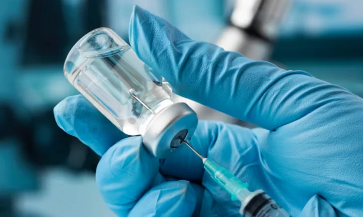 Anvisa autoriza testes em humanos da primeira vacina contra malária por P. vivax