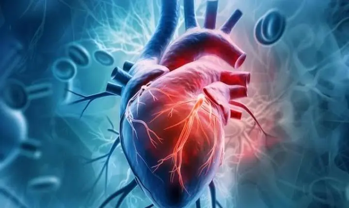 Brasil registra uma morte por doença cardiovascular a cada 72 segundos
