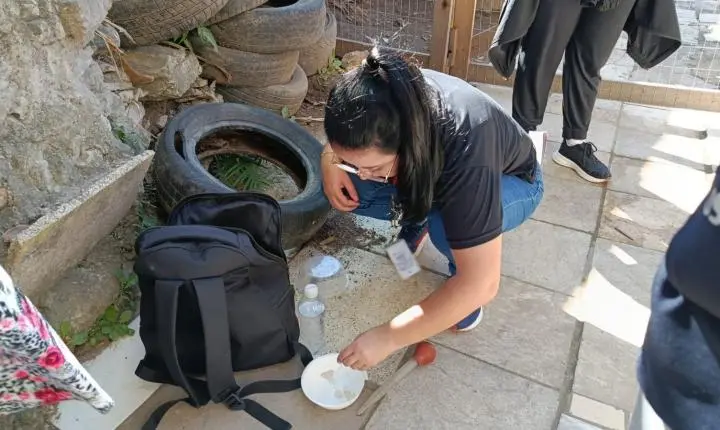 Capivari de Baixo confirma novo foco de Aedes aegypti