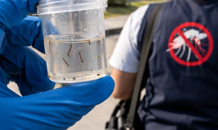 Capivari de Baixo confirma novo foco de dengue no Centro