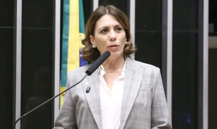 Comissão da Câmara aprova internet gratuita para mensagens em voos