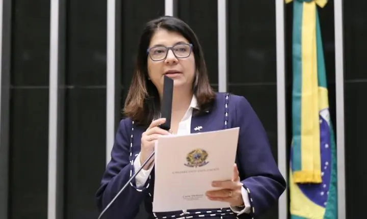 Comissão de Relações Exteriores discute assistência consular a brasileiros no exterior
