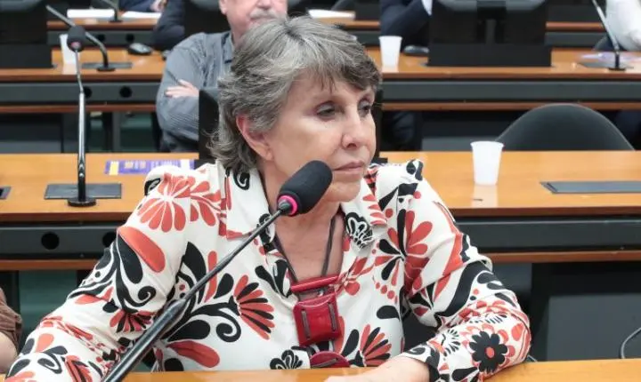 Comissão debate a relevância de dados oficiais para a população LGBTQIA+