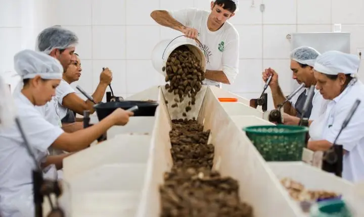 Consulta pública sobre bens sustentáveis no acordo Mercosul-UE encerra na quarta